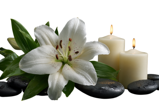 Photo of white lily blossom with smooth black stones and burning candles creating a peaceful spa atmosphere for relaxation and wellness isolated on transparent background