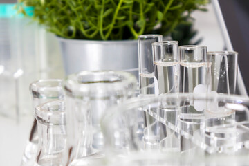 Bottles and transparent dishes are used in scientific and medical experiments, the use of chemicals creates medical research.