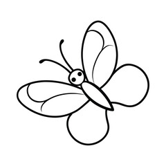 vector illustration of a butterfly