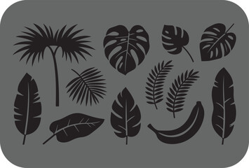 Fototapeta premium Collection of black silhouette tropical plant leaves and banana bunch on a gray background