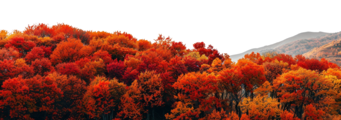PNG Autumn orange red forest borders on hills scenery nature leaves.