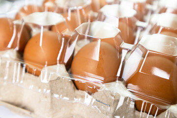 Chicken eggs in cardboard box with plastic cover for protection, egg business, diagonal view
