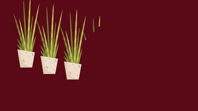draw series of joining several plant pot decorate with green plant on red maroon screen background
