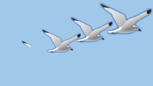 draw series of joining several flying sparrow bird in sky on blue screen background
