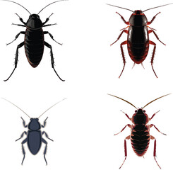 Realistic Cockroach Silhouette | Aggressive Insect Vector Design.