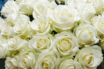 Beautiful bouquet of white roses. Bunch of many colorful fragrant flowers. Floristry and floral...