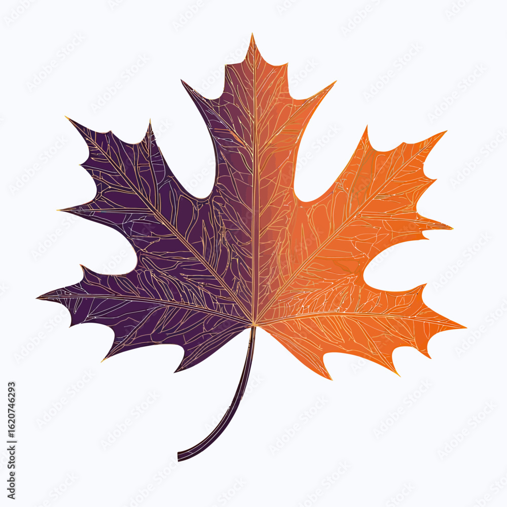 Poster vibrant autumn maple leaf vector with detailed vein structure split between deep purple and bright o