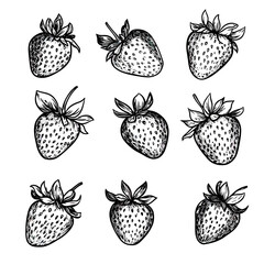 Hand drawn black and white strawberry illustrations set with detailed seeds and leaves isolated on white background in vintage sketch style collection