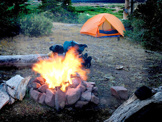 Camping with Campfire Tent in Clearing Overnight Space for Wilderness Adventure