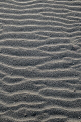 Obraz premium Onde sulla sabbia formate dal vento 