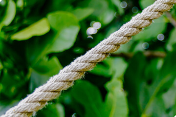Close up view of thick twisted rope extending from upper left to lower right against blurred green...
