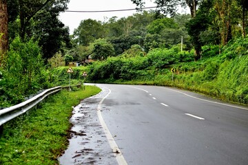 Lush green tea plantation route in Munnar, Kerala, during the monsoon season, with fresh tea leaves, misty hills, and tall trees in a serene, rain-kissed landscape.