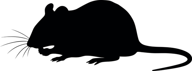 Black mouse silhouette