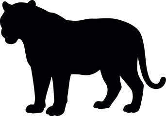Black tiger silhouette