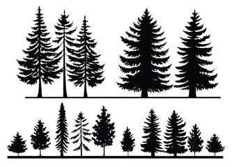 Obraz premium Silhouettes of Pine Trees and Evergreen Trees in Two Rows on White Background conifer forest