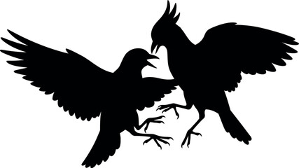 Obraz premium Silhouette of two birds fighting wing spread