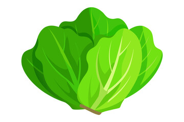 heart shaped leaf