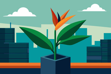 vector illustration of a city