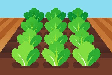 vector illustration of a plant