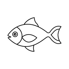 fish vector illustration