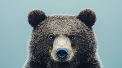 Obraz premium A bear with its eyes closed and looking at the camera. The bear is brown and has a big nose