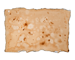 old paper with stains and burnt edges isolated on background, aesthetic vintage wallpaper background