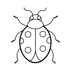vector illustration of a ladybug