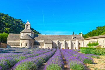 The medieval Abbey of Senanque surrounded by lavender fields