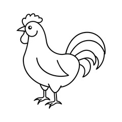 rooster isolated on white background