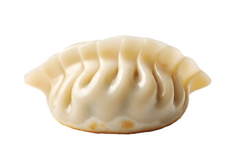 Close-up of a single dumpling.