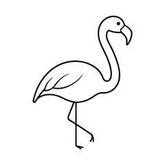 flamingo vector illustration