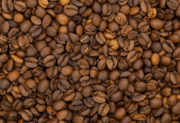 coffee beans background