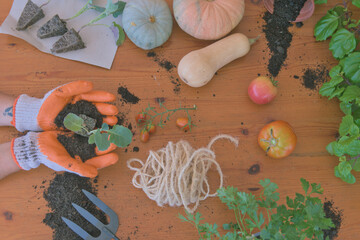 Gloved hands holding a broccoli seedling. A table with seedlings, squash, tomatoes, and other vegetables.