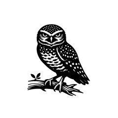 Illustration of an owl perched on a branch isolated on white background