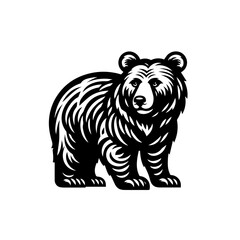 Illustration of a bear with detailed fur isolated on white background