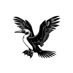 Illustration of a blue footed booby isolated on white background