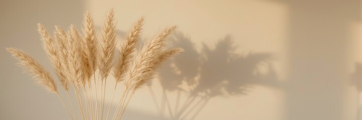Fototapeta premium Pampas grass casting soft shadows on a beige wall, creating a natural, minimalist, and aesthetically pleasing home decor element with copy space