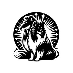 Elegant collie dog portrait with radiant background isolated on white background