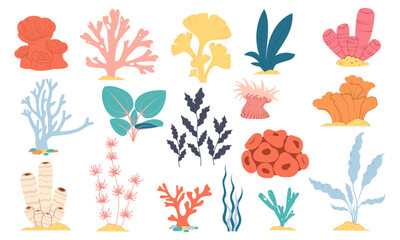 Colorful corals and seaweed collection. Perfect for underwater scenes, marine design, and children's illustrations. © Kateryna