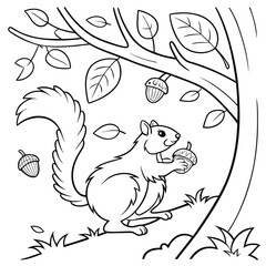 Cute squirrel eating acorns seeds flowers leaves Autumn Fall season coloring illustration pages