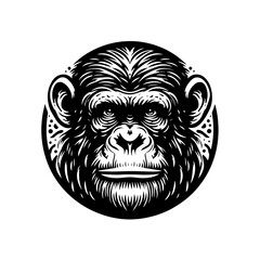 Monkey face portrait isolated on white background, a detailed animal illustration