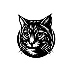 Portrait of a bobcat isolated on white background