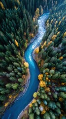 Fall forest landscape with winding river aerial view