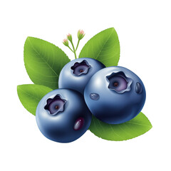 Ripe Blueberry Fruits with Leaves isolated on transparent background Remove png