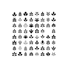 Collection of black botanical leaf and branch icons on white background leaves nature
