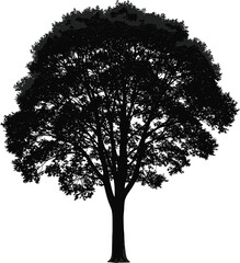 Detailed Tree Silhouette, Black Vector Illustration of a Single Oak, Maple or Elm for Nature, Environment, and Ecology.