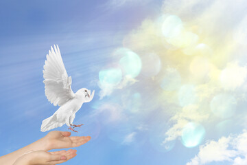 Dove flying from woman's hands against sky with sun