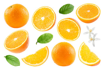 Fresh oranges, green leaves and blossoms isolated on white, set