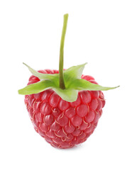 Fresh ripe raspberry isolated on white. Tasty berry