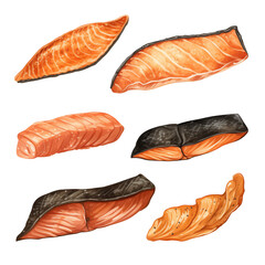 Set of Different Grilled Salmon Fillets isolated on transparent background Remove png